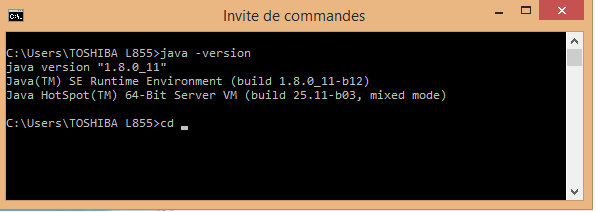 invite de commandes-2