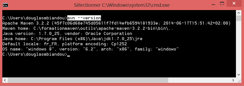 tutoriel-maven-installation-analyse-7