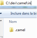 dev-camel-simple-1bis.png
