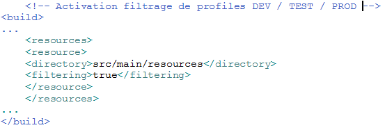 tutoriel-maven-profil-filtrage-ressources-1