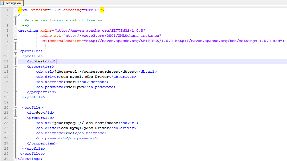 tutoriel-maven-profil-filtrage-ressources-3