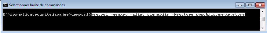 tutoriel-securite-java-j2ee-jee-ssl-tomcat-1