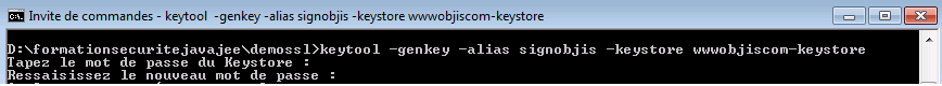 tutoriel-securite-java-j2ee-jee-ssl-tomcat-2