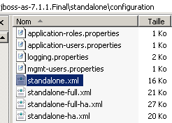 arborescence-jboss-7-1-1-standalone-config