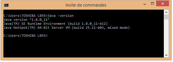 tutoriel-installation-java-jdk-sun-oracle-11