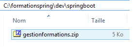 tutoriel-creation-application-avec-spring-boot-maven-4